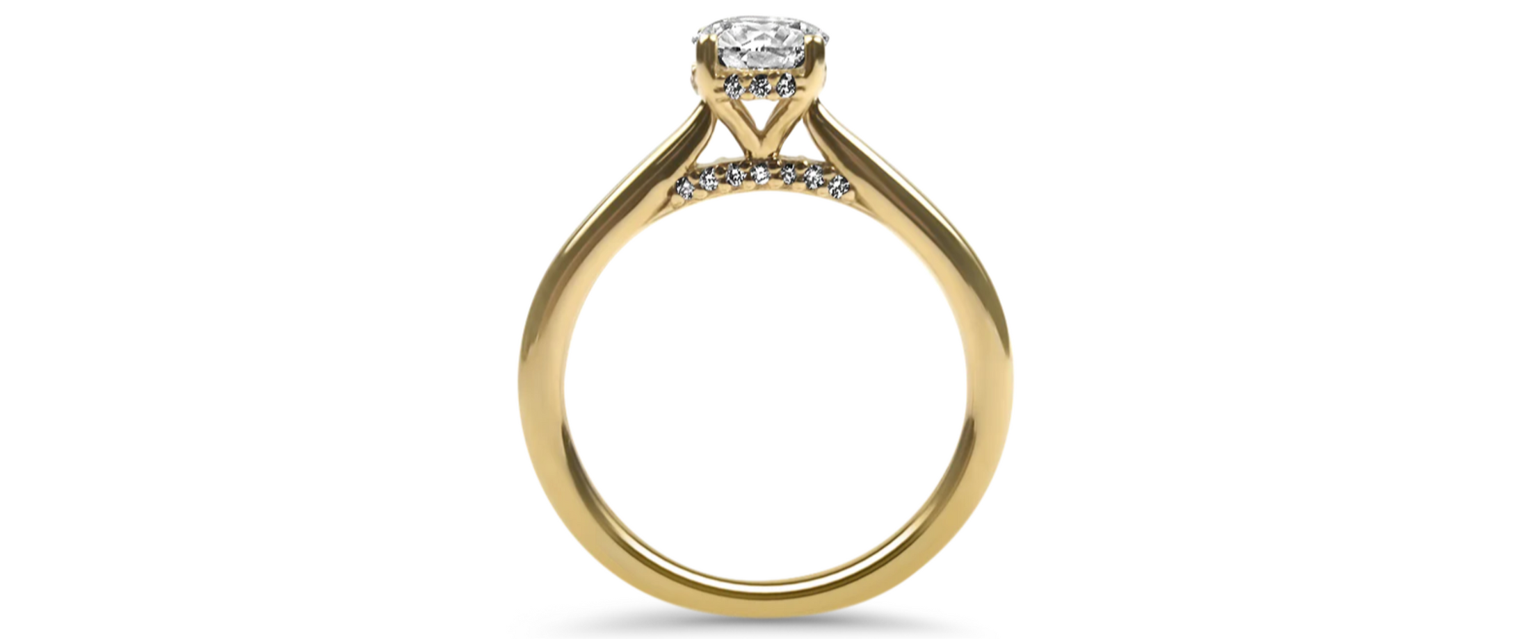 Round Engagement Ring with Hidden Halo