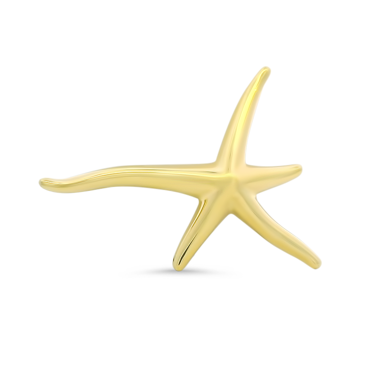 Estate Tiffany & Co. Pins & Brooches Estate Tiffany & Co. Elsa Peretti 18k Yellow Gold Starfish Pin