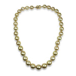 PAGE Estate Necklaces and Pendants Estate 14K Yellow Gold Golden South Sea Cultured Pearl 15" Necklace