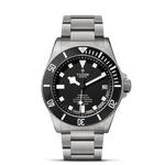 TUDOR Watch Copy of TUDOR Pelagos 42mm Titanium and Steel Case, Titanium Bracelet (M25600TN-0001)