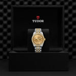TUDOR Watch TUDOR Black Bay 36mm Steel Case, Steel and Yellow Gold Strap (M79653-0007)