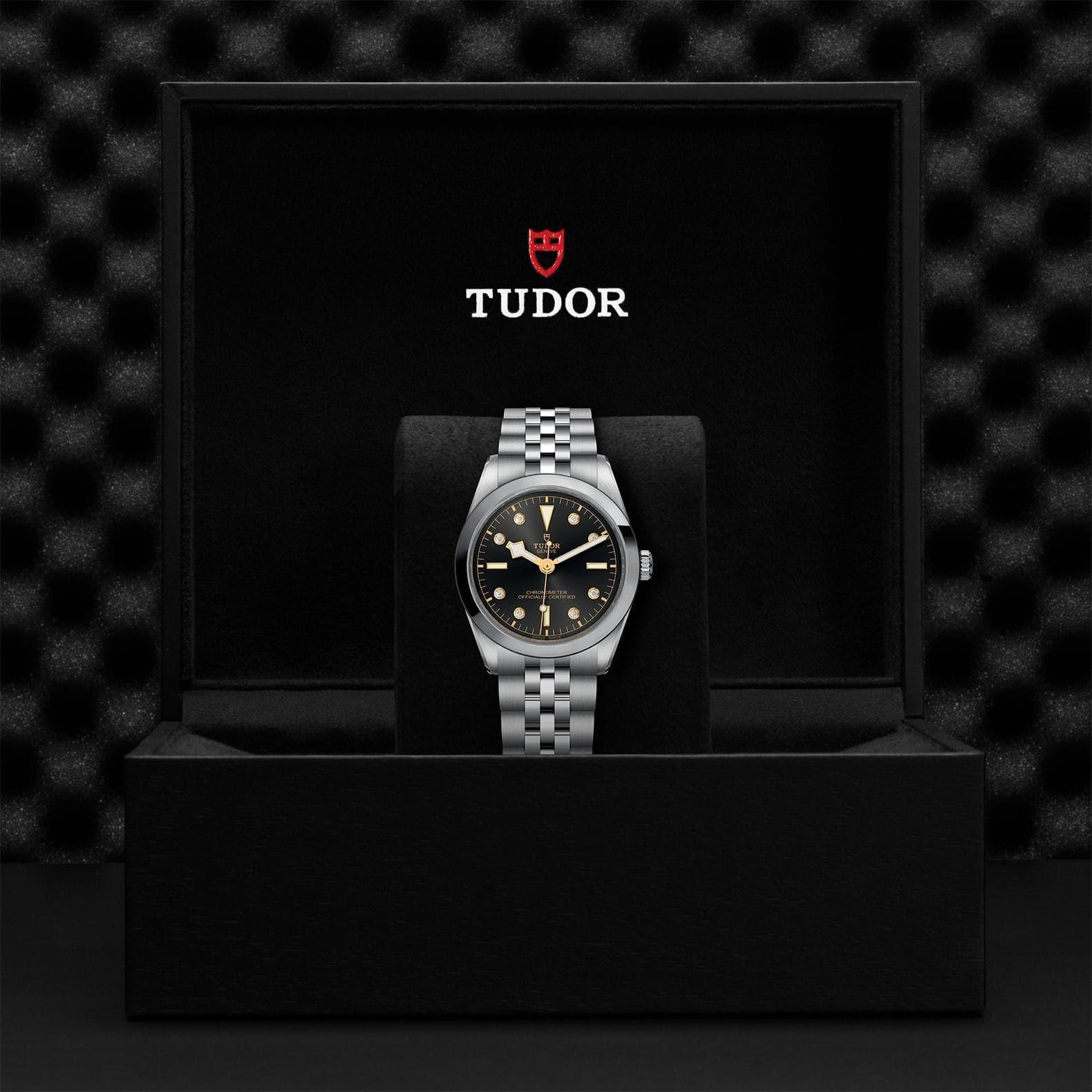 TUDOR Watch TUDOR Black Bay 36mm Steel Case, Steel Strap (M79640-0004)