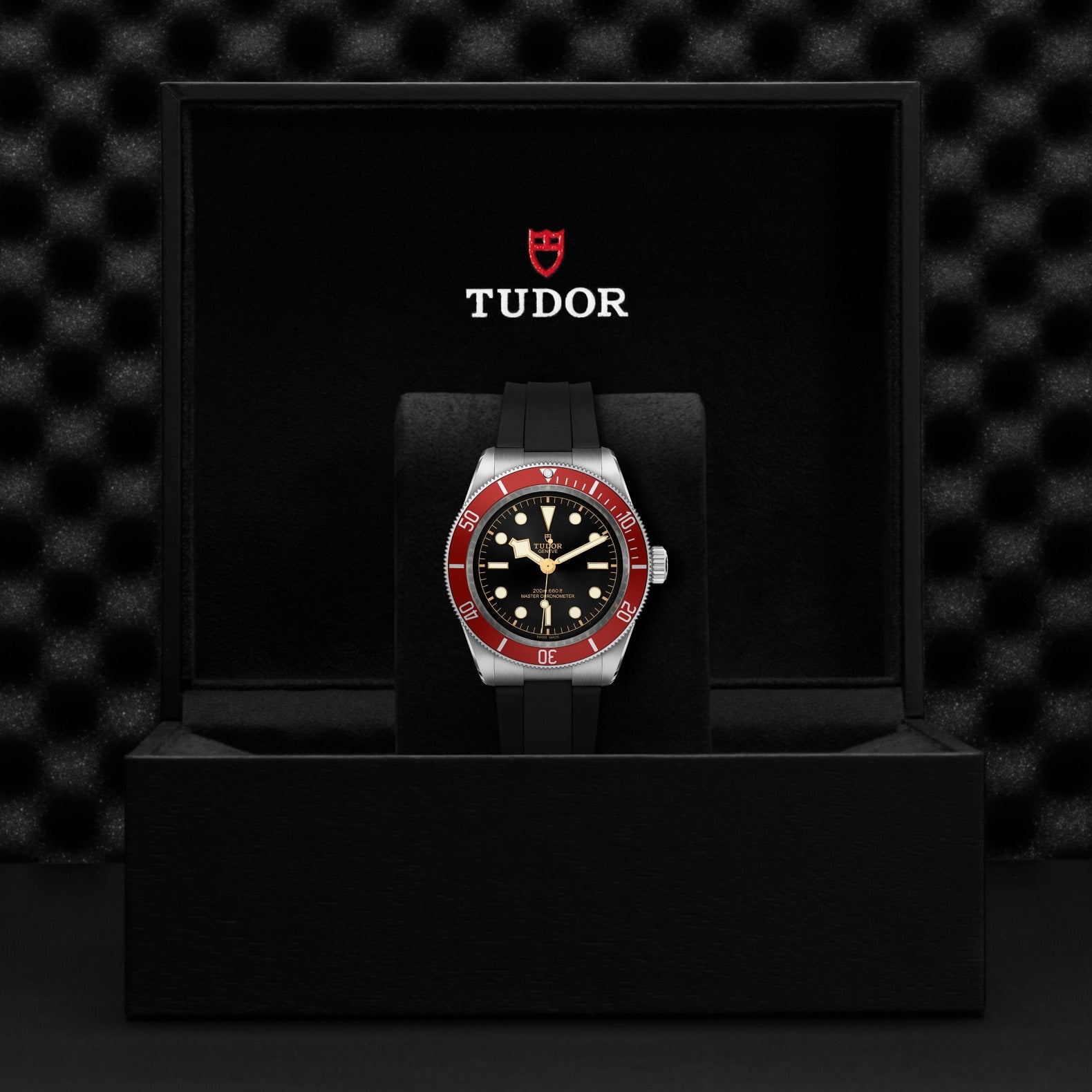 TUDOR Watch TUDOR Black Bay 41mm Case, Black Dial, Black Rubber Bracelet (M7941A1A0RU-0002)