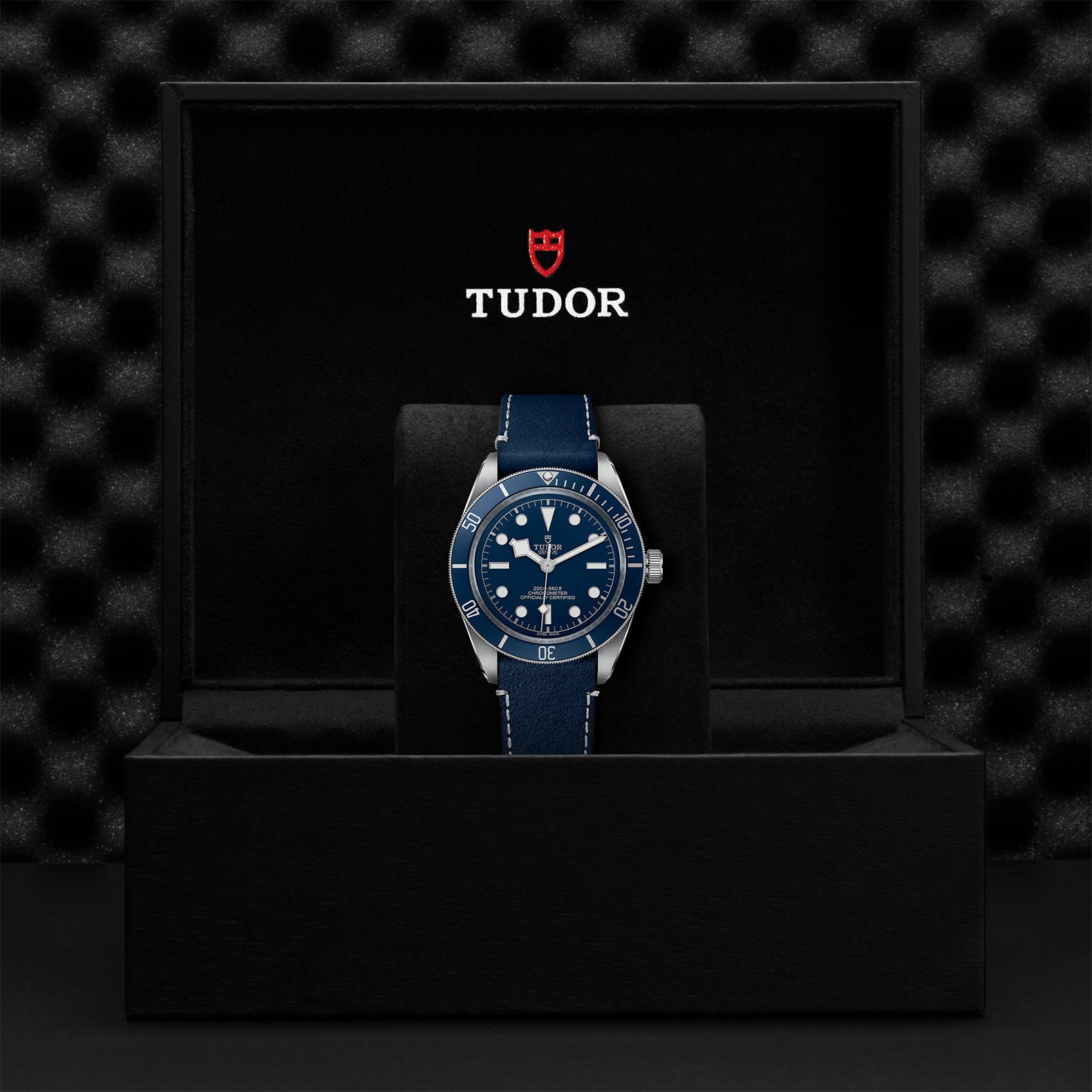 TUDOR Watch TUDOR Black Bay 58 39mm Steel Case, Blue Soft Touch Strap (M79030B-0002)