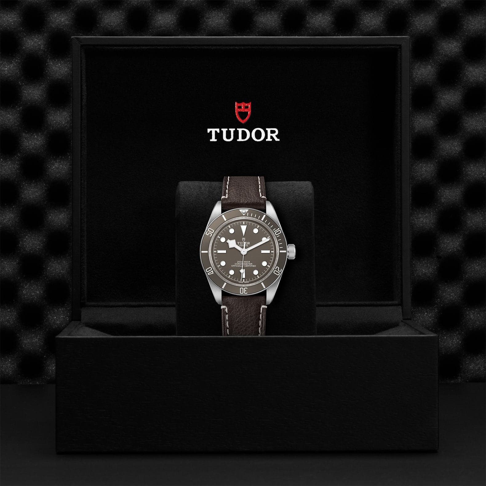 TUDOR Watch TUDOR Black Bay 58 925 39mm Steel Case, Brown Leather Strap (M79010SG-0001)