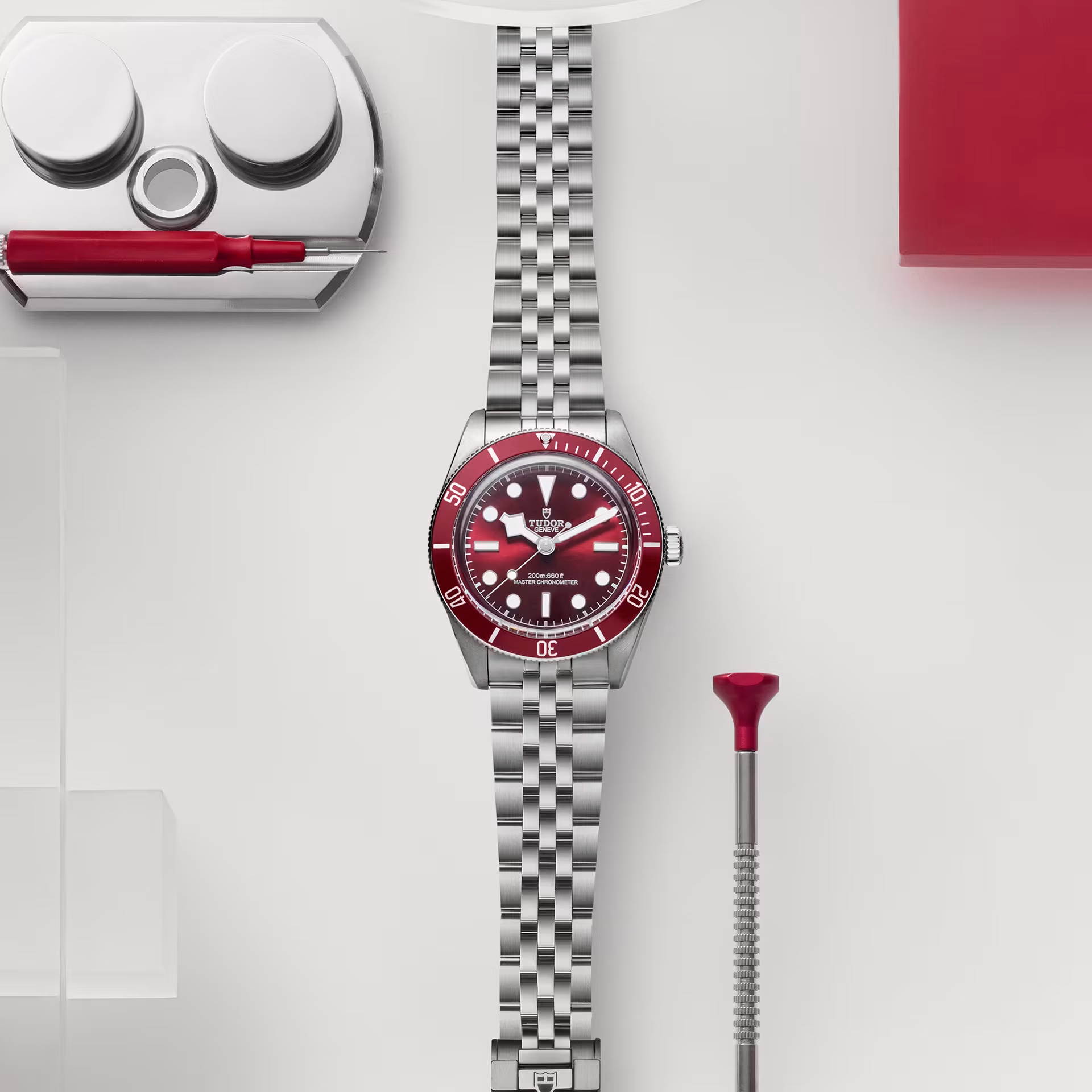 TUDOR Watch TUDOR Black Bay 58, Burgundy Dial, Steel Bracelet (M7939A1A0RU-0001)