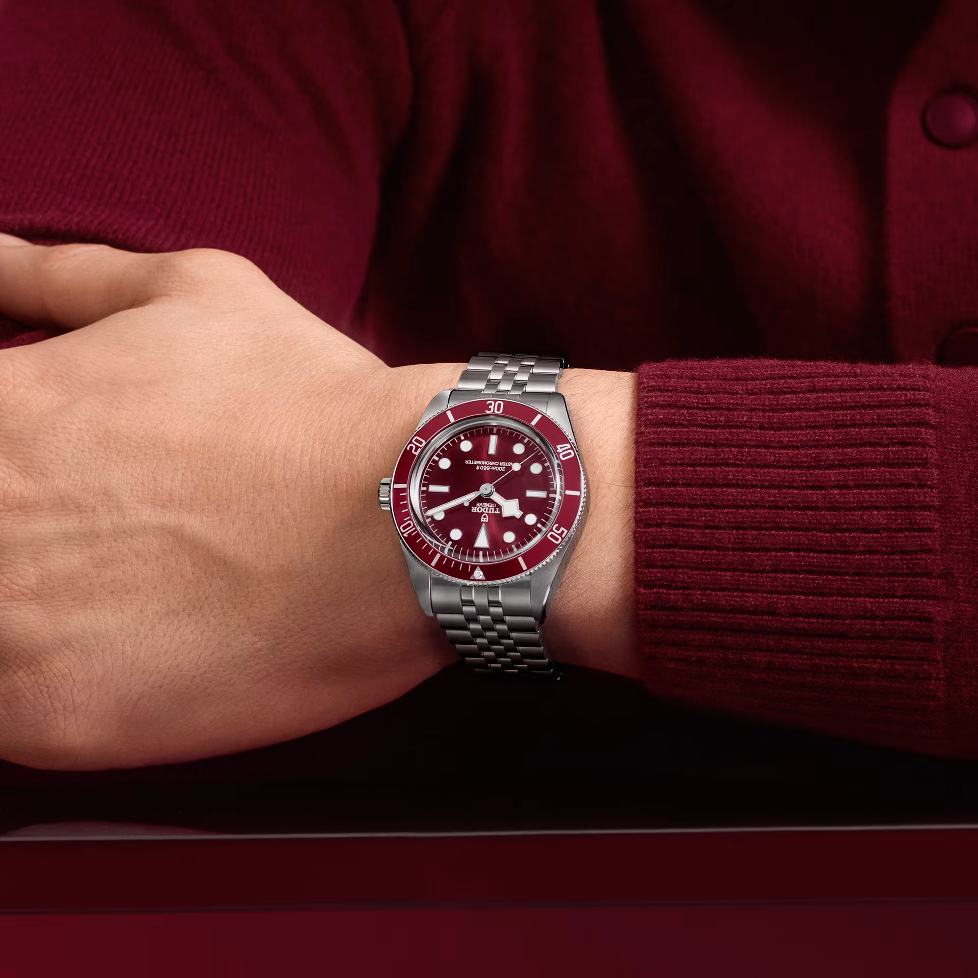 TUDOR Watch TUDOR Black Bay 58, Burgundy Dial, Steel Bracelet (M7939A1A0RU-0001)