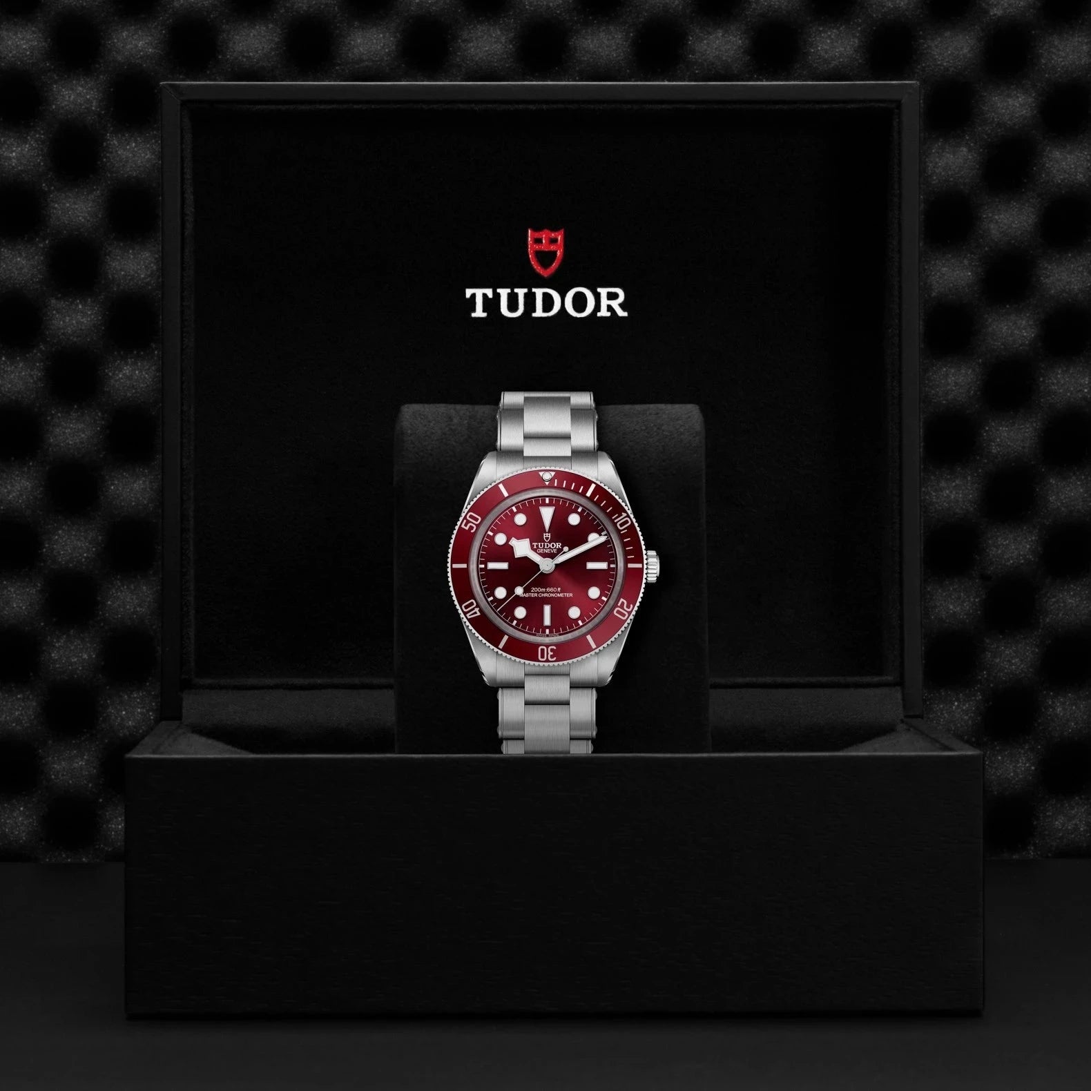 TUDOR Watch TUDOR Black Bay 58, Burgundy Dial, Steel Bracelet (M7939A1A0RU-0002)