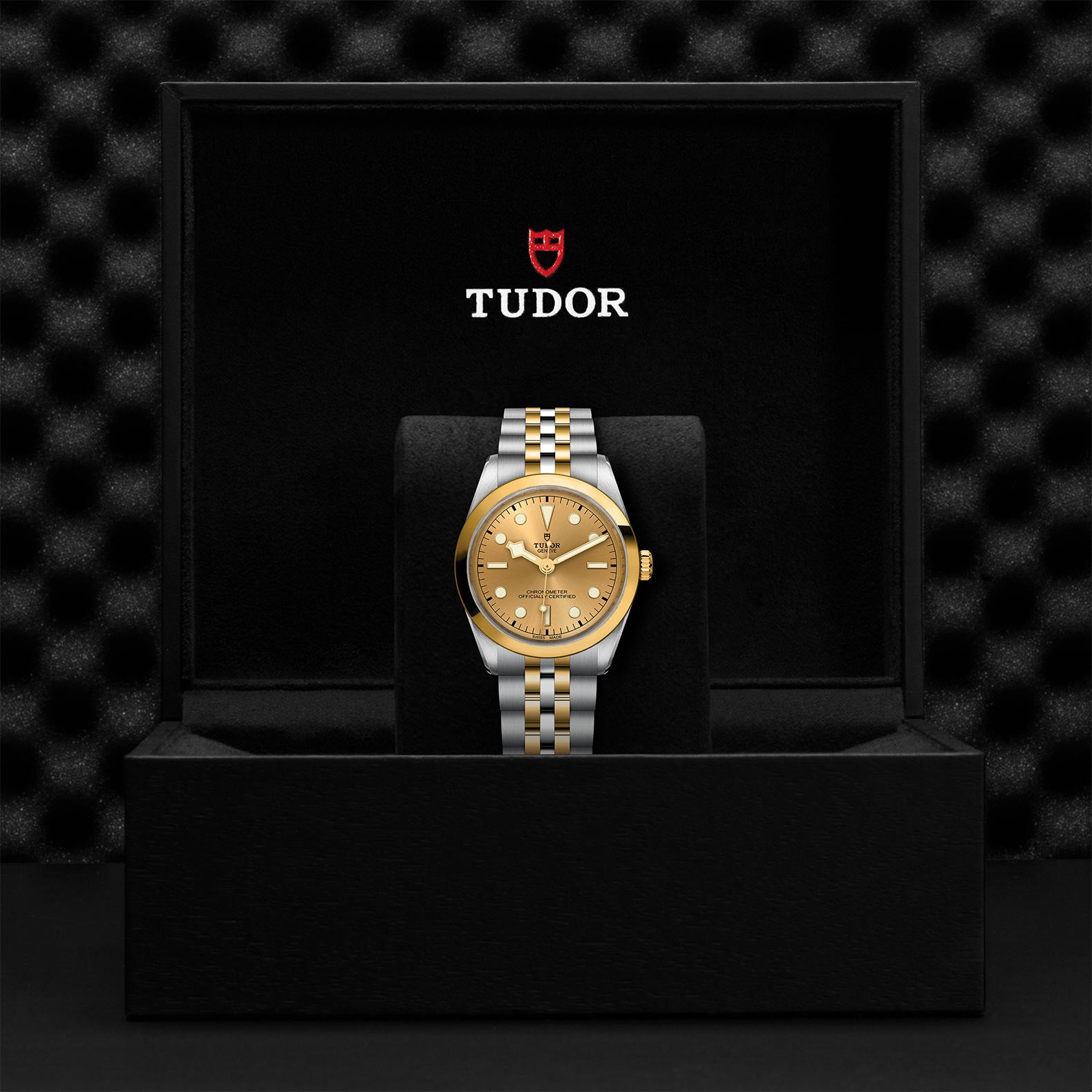 TUDOR Watch TUDOR Black Bay One 36mm S&G Champagne Dial, Two Tone Bracelet (M79643-0005)