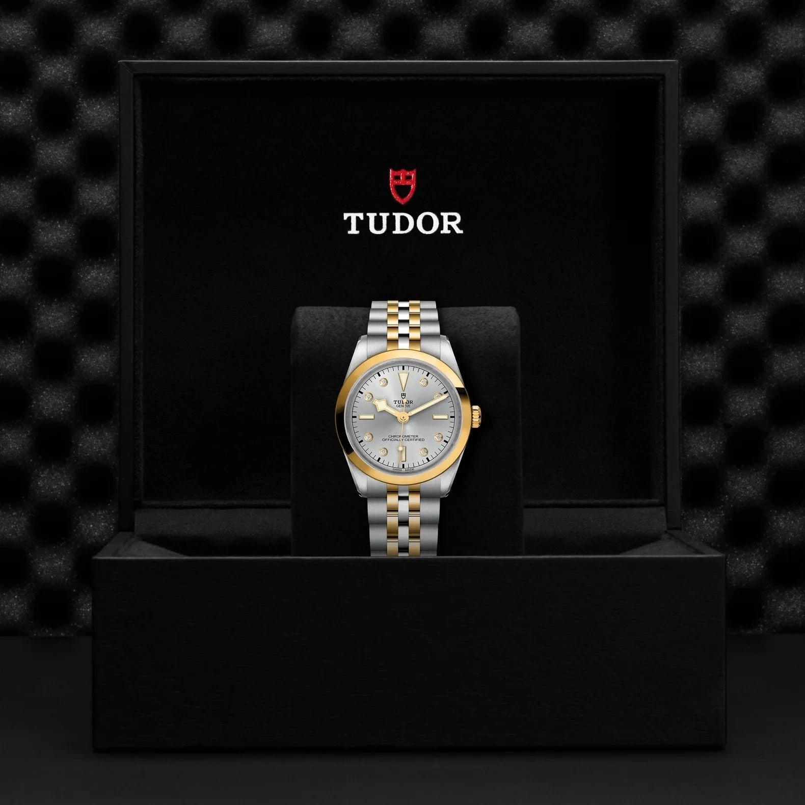 TUDOR Watch TUDOR Black Bay One 36mm S&G Silver Diamond Dial, Two Tone Bracelet (M79643-0007)