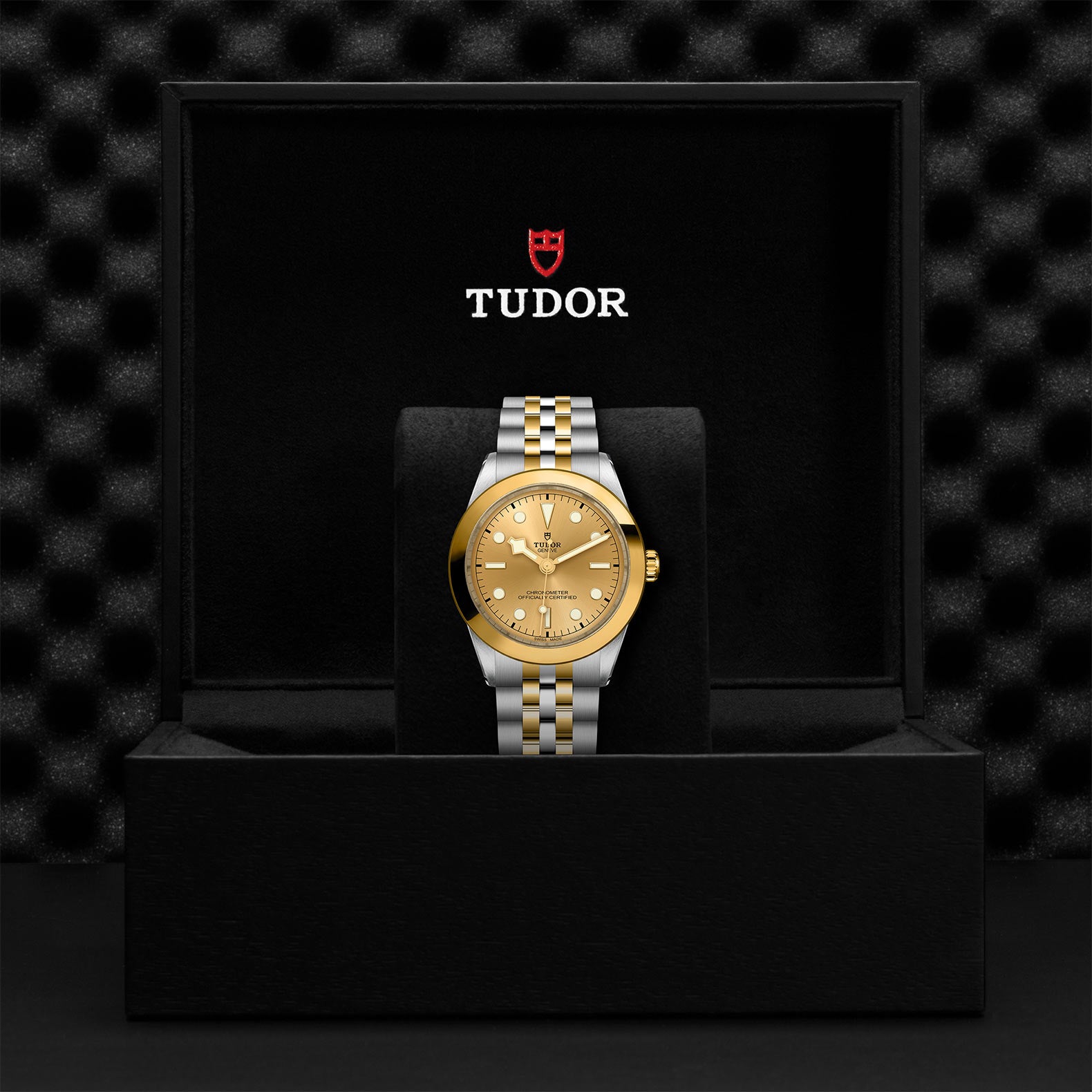 TUDOR Watch TUDOR Black Bay S&G 39mm Steel Case, Steel & Yellow Gold Strap (M79663-0005)