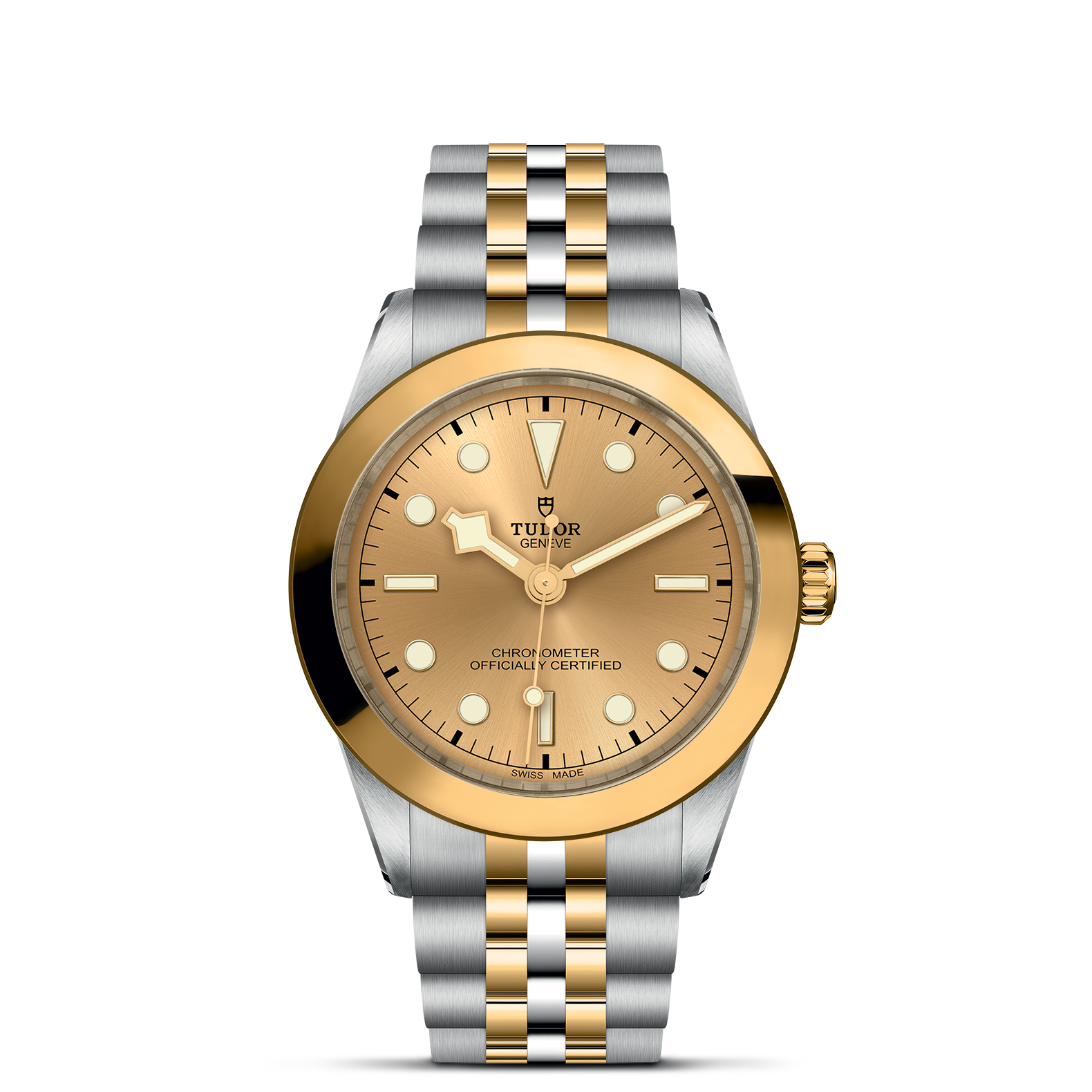 TUDOR Watch TUDOR Black Bay S&G 39mm Steel Case, Steel & Yellow Gold Strap (M79663-0005)