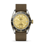 TUDOR Watch TUDOR Black Bay S&G 41mm Champagne Dial, Fabric Strap (M79733N-0006)