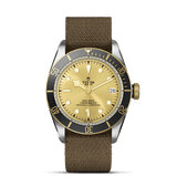 TUDOR Watch TUDOR Black Bay S&G 41mm Champagne Dial, Fabric Strap (M79733N-0006)