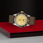 TUDOR Watch TUDOR Black Bay S&G 41mm Champagne Dial, Fabric Strap (M79733N-0006)