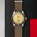 TUDOR Watch TUDOR Black Bay S&G 41mm Champagne Dial, Fabric Strap (M79733N-0006)