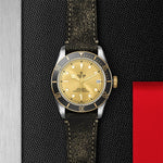 TUDOR Watch TUDOR Black Bay S&G 41mm Champagne Dial, Leather Strap (M79733N-0003)