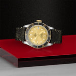 TUDOR Watch TUDOR Black Bay S&G 41mm Champagne Dial, Leather Strap (M79733N-0003)