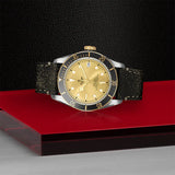 TUDOR Watch TUDOR Black Bay S&G 41mm Champagne Dial, Leather Strap (M79733N-0003)