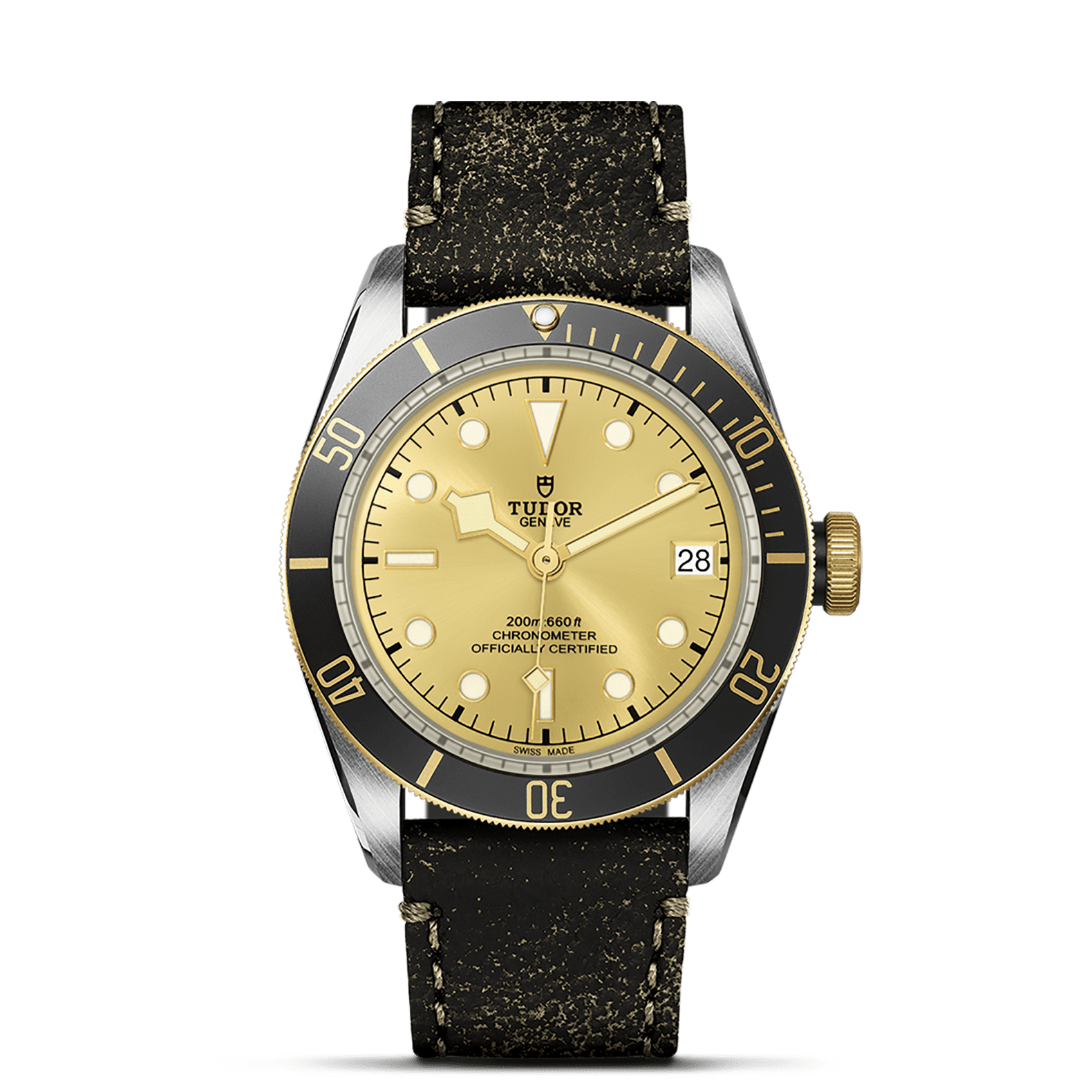 TUDOR Watch TUDOR Black Bay S&G 41mm Champagne Dial, Leather Strap (M79733N-0003)