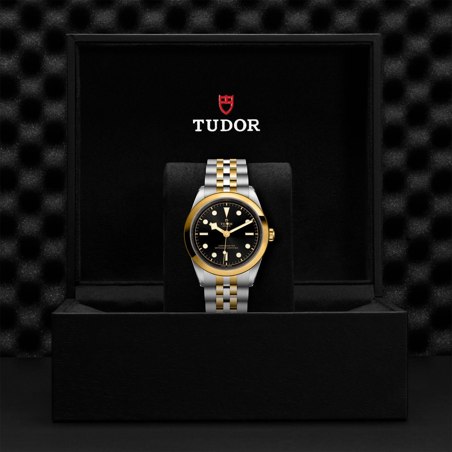 TUDOR Watch TUDOR Black Bay S&G 41mm Steel Case, Steel Strap (M79683-0001)