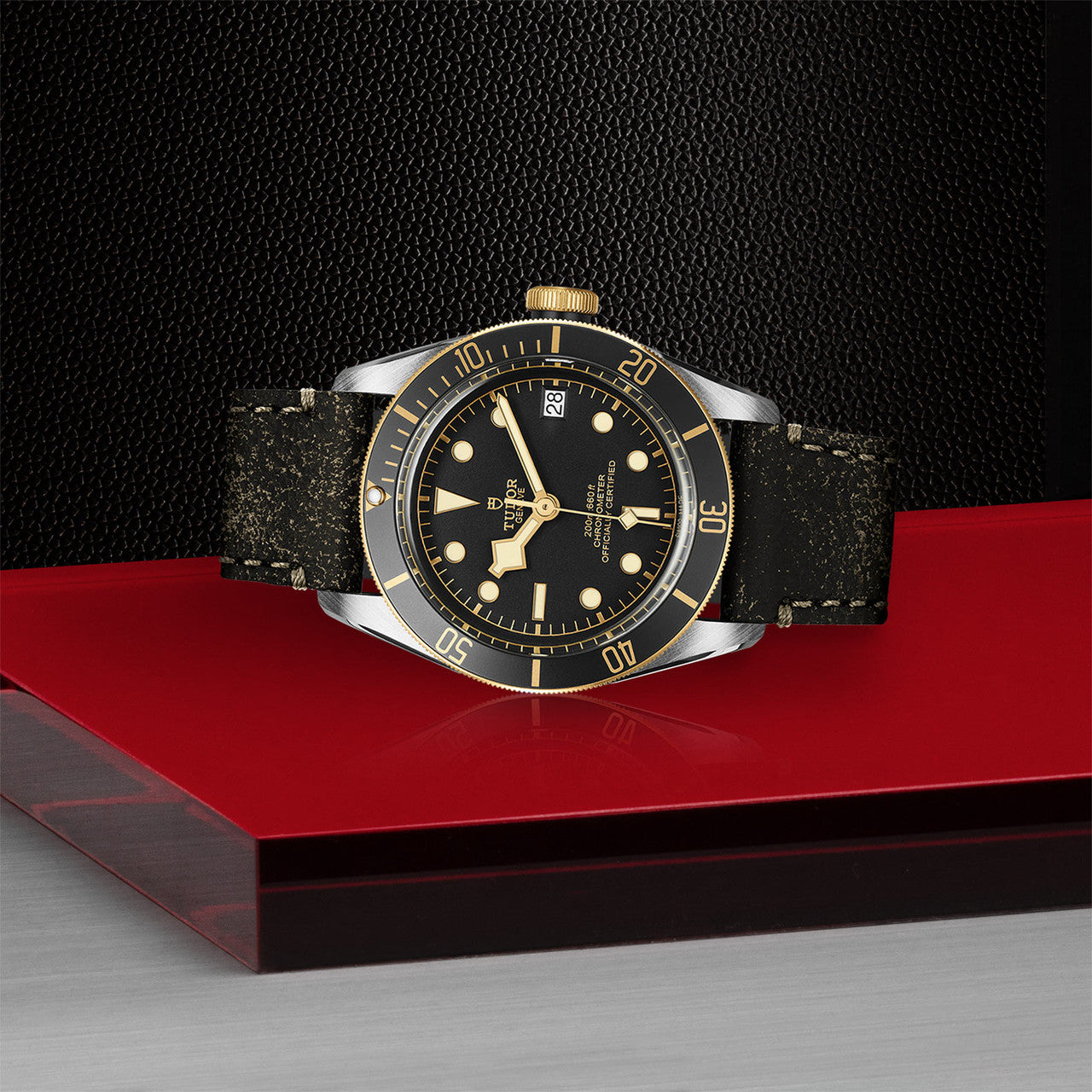 TUDOR Watch TUDOR Black Bay S&G Black Dial, Leather Strap (M79733N-0007)
