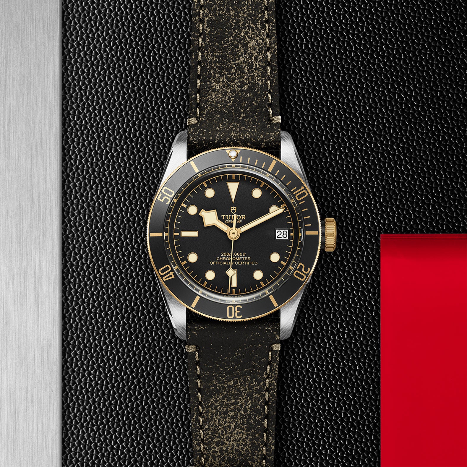 TUDOR Watch TUDOR Black Bay S&G Black Dial, Leather Strap (M79733N-0007)