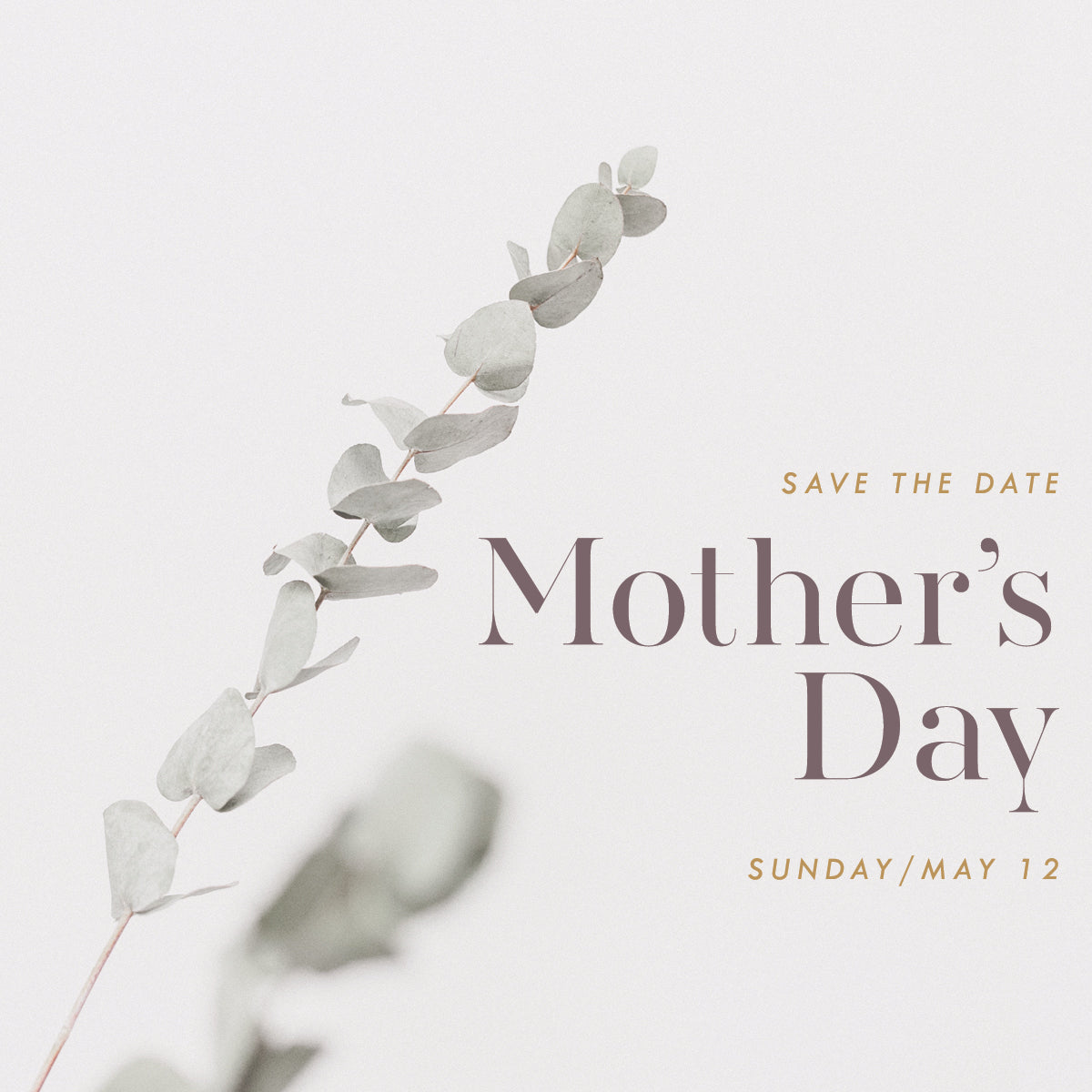 Mother's Day Gift Guide 2019