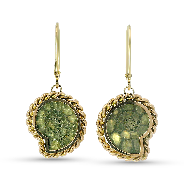 1870 Collection Earring 1870 Collection 14k Yellow Gold Ammonite Fossil Dangle Earrings