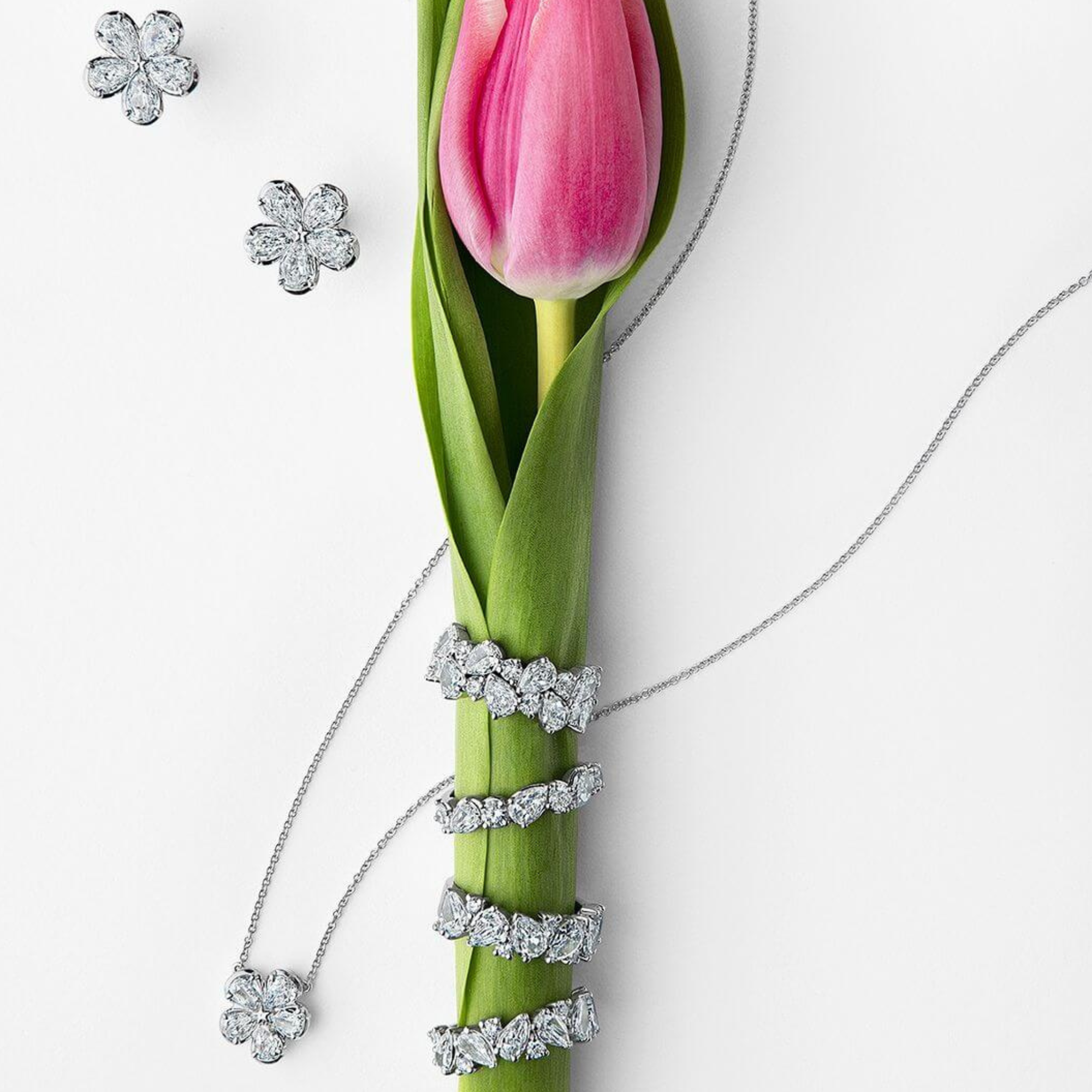 Wedding & Engagement Rings, Jewelry & Watches Springer's Jewelers