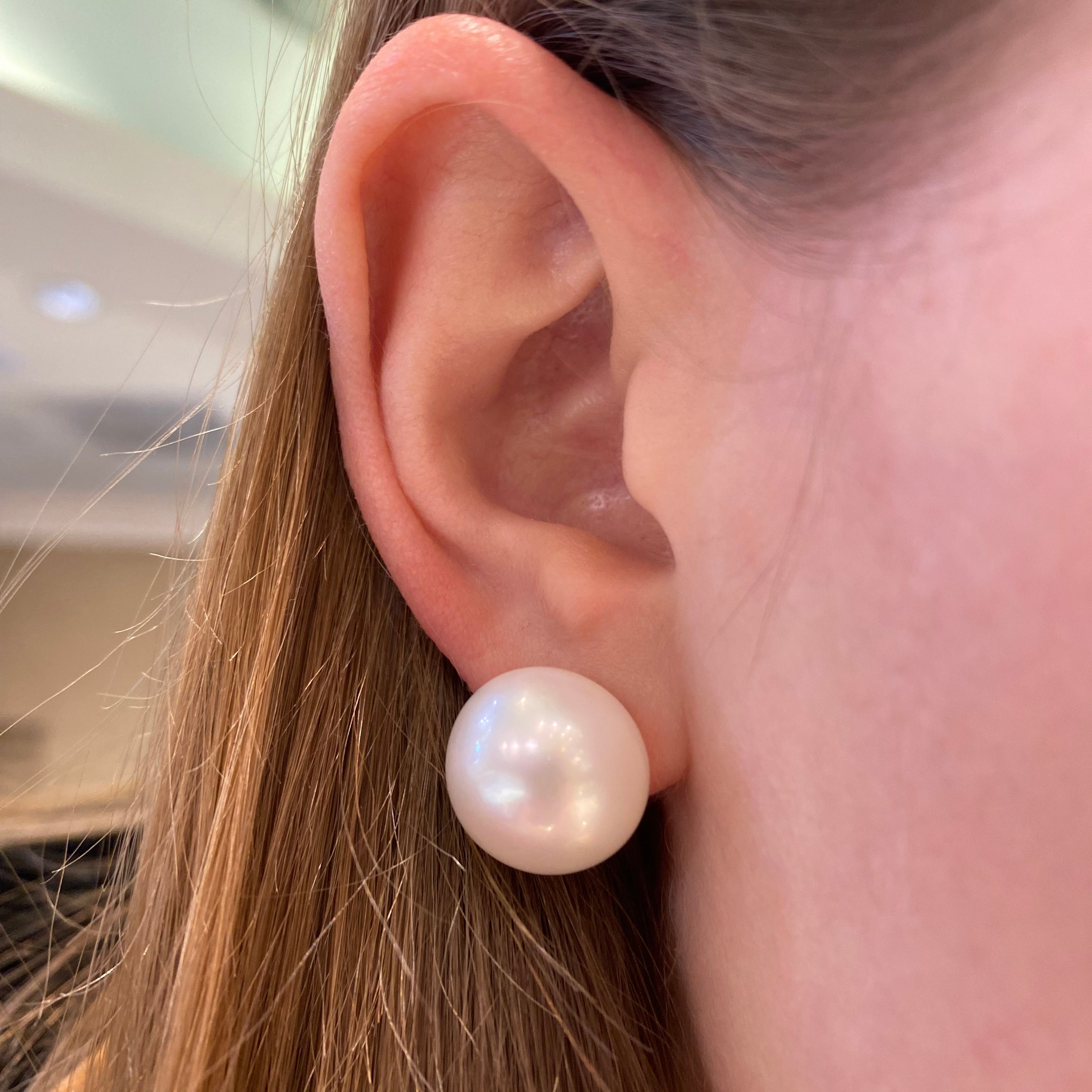 Mastoloni Earrings Mastoloni 14K Yellow Gold Freshwater Button Pearl Stud Earrings - 15-16mm