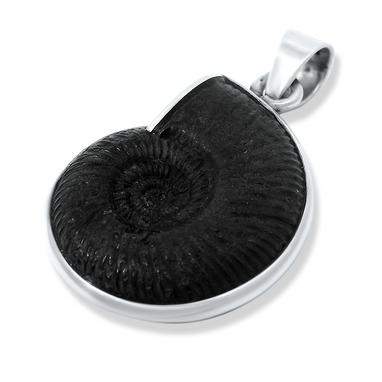 PAGE Estate Pendant Estate Sterling Silver Ammonite Pendant