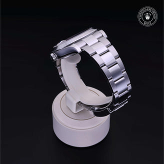 Oyster Perpetual Datejust II - image 16 of 37