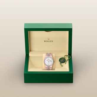 Rolex Land-Dweller 36