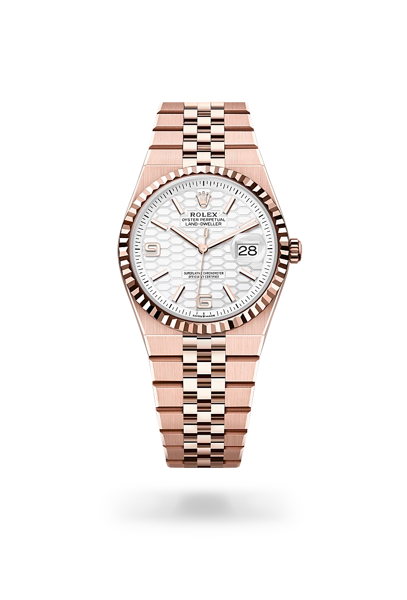 Rolex  Land-Dweller 36 in Oyster, 36 mm, Everose gold
