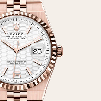 Rolex Land-Dweller 36