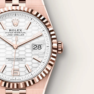 Rolex Land-Dweller 40