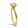 Sincerely Springer's Engagement Ring Sincerely Springer’s 14k Yellow Gold 1.00ct. Solitaire Diamond Ring 6.25