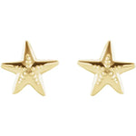 Sincerely, Springer's Earring Sincerely Springer's 14k Yellow Gold Starfish Stud Earrings