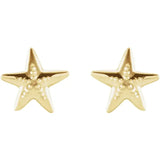 Sincerely, Springer's Earring Sincerely Springer's 14k Yellow Gold Starfish Stud Earrings