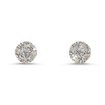 Springer's Forever Earrings Springer's Forever 14K Yellow Gold Diamond Cluster Stud Earrings - 0.75ctw