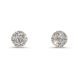 Springer's Forever Earrings Springer's Forever 14K Yellow Gold Diamond Cluster Stud Earrings - 0.75ctw