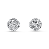 Springer's Forever Earrings Springer's Forever 18K White Gold Diamond Cluster Stud Earrings - 2.00ctw