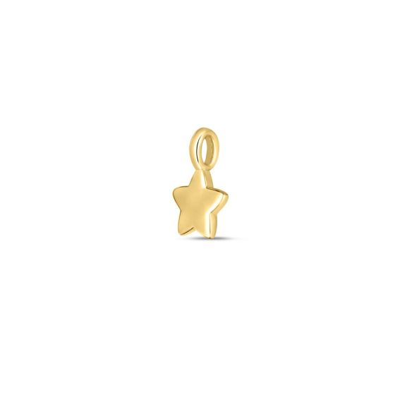 Springer's Forever Charm Springer's Forever Signature 14k Yellow Gold Star Charm
