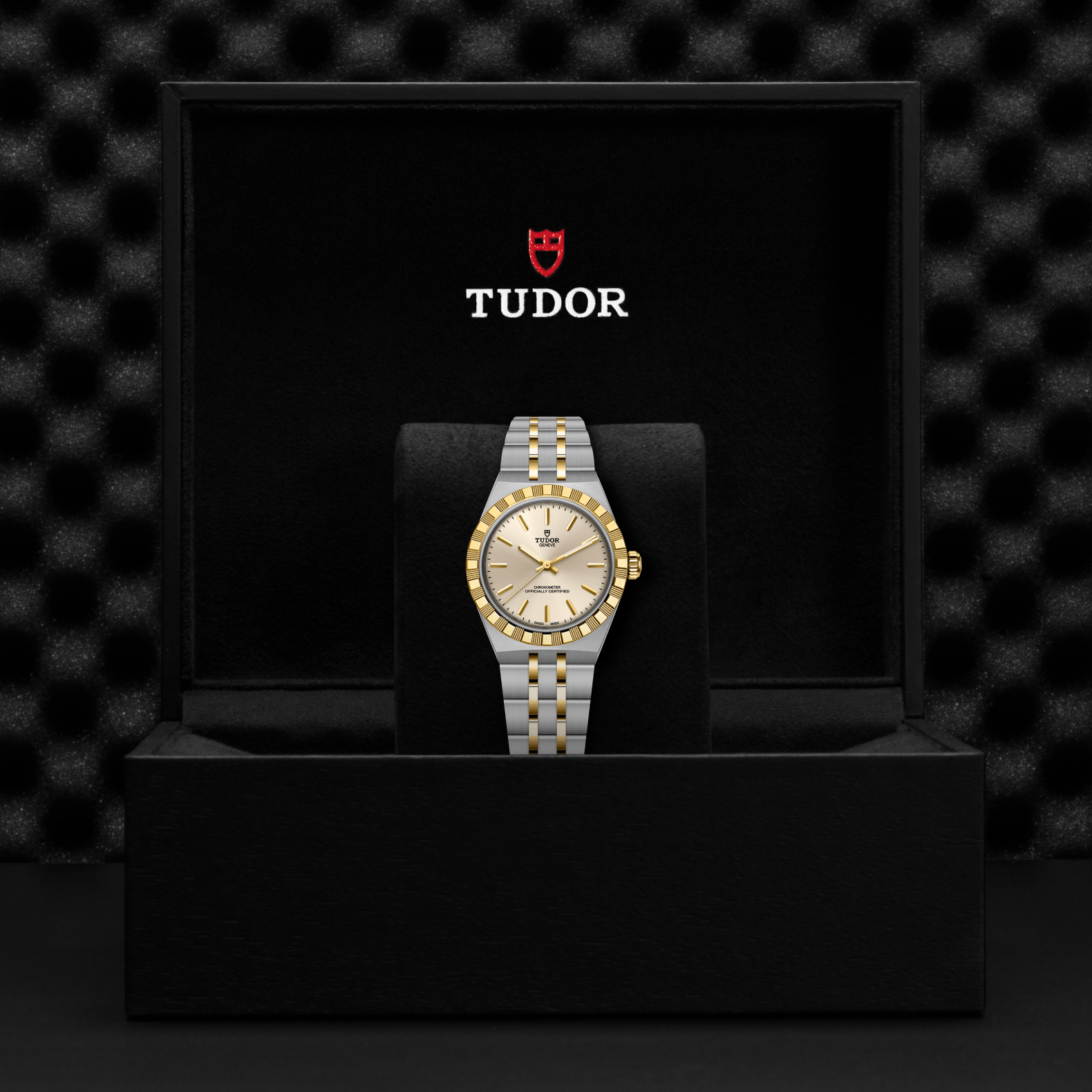TUDOR Watch TUDOR 30mm TUDOR Royal Gold Dial, Gold and Steel Bracelet (M2830A1A3-0003)