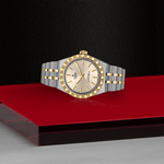 TUDOR Watch TUDOR 30mm TUDOR Royal Gold Dial, Gold and Steel Bracelet (M2830A1A3-0003)