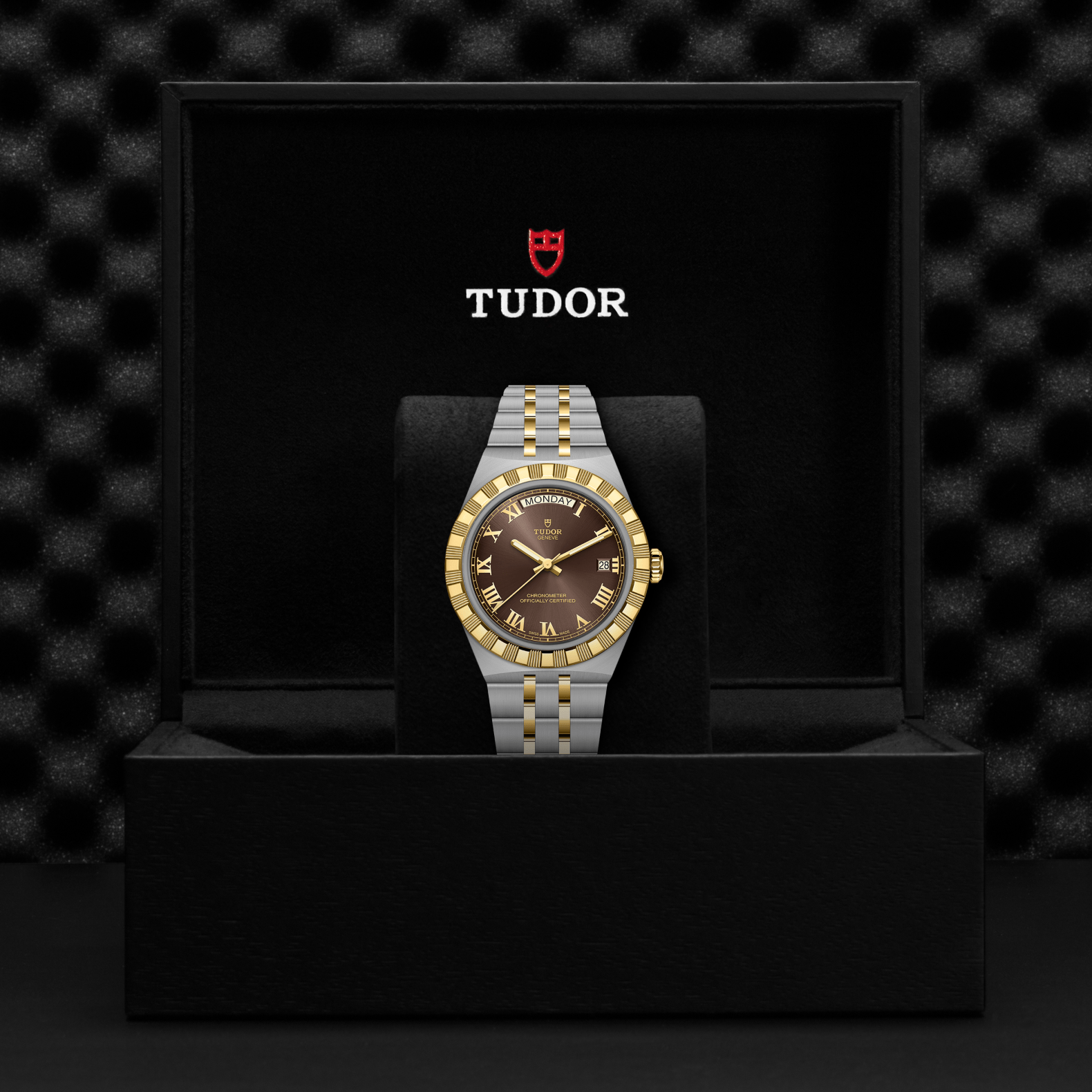 TUDOR Watch TUDOR 40mm TUDOR Royal Brown Dial, Gold and Steel Bracelet (M2840D1A3-0001)