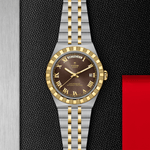 TUDOR Watch TUDOR 40mm TUDOR Royal Brown Dial, Gold and Steel Bracelet (M2840D1A3-0001)