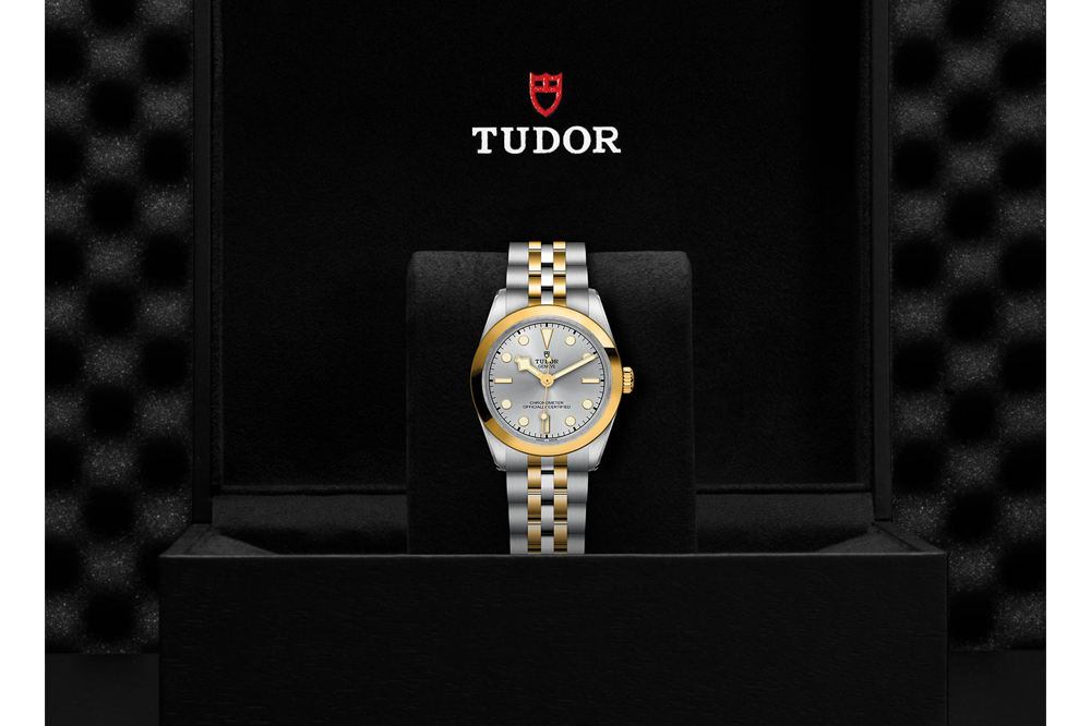 TUDOR Watch TUDOR Black Bay 31 S&G Silver Dial, Yellow Gold Bezel, Stainless Steel Bracelet (M79603-0002)