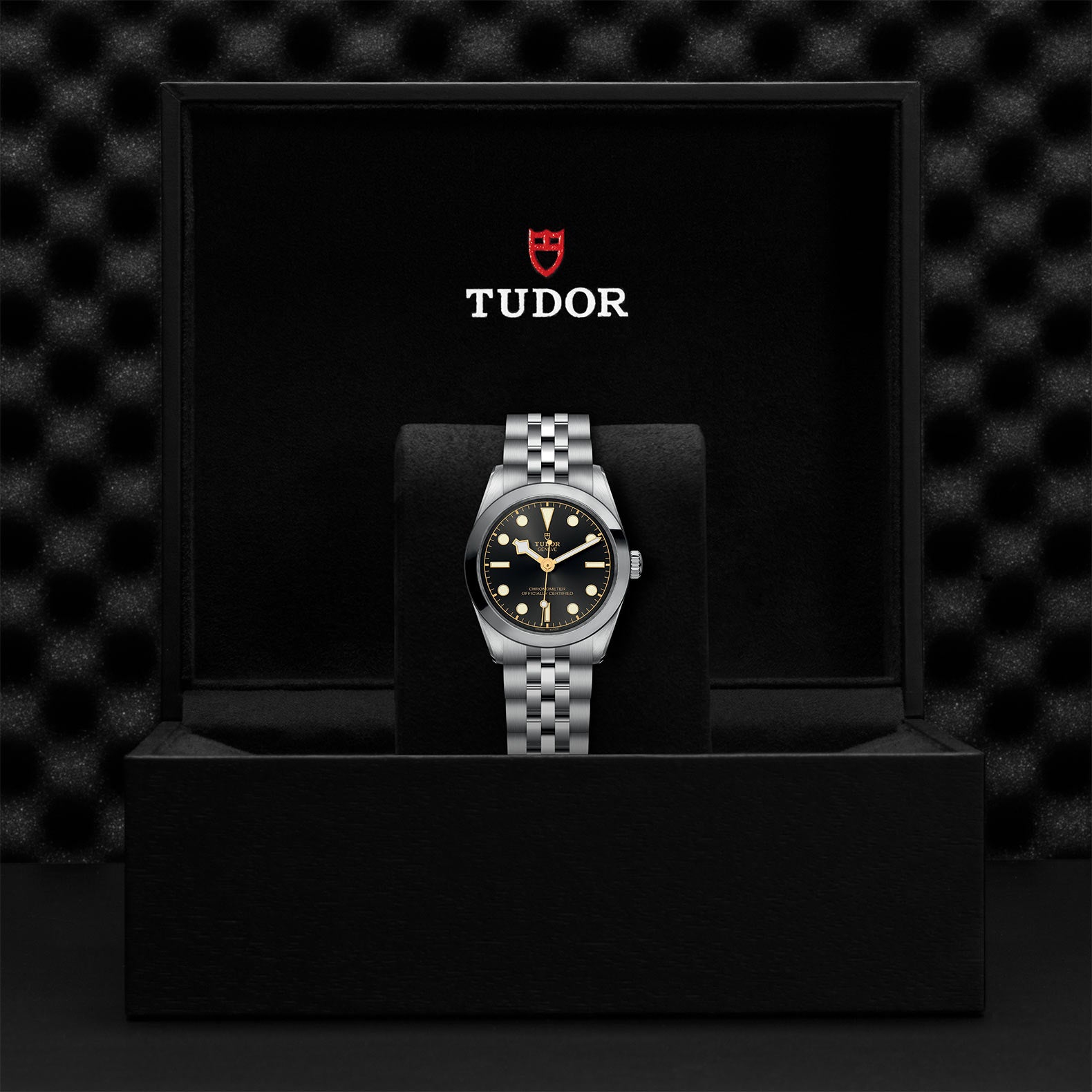 TUDOR Watch TUDOR Black Bay 31mm Steel Case, Steel Strap (M79600-0001)